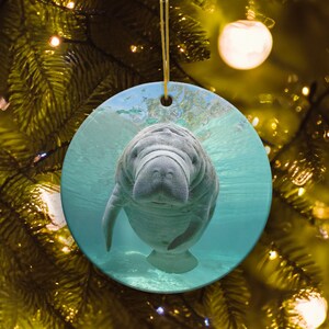 Adorno navideño de cerámica con forma de manatí bebé: personalízalo. Decoración para árbol con temática de vida marina de Florida.