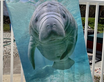 Manatee Beach Towel Microfiber -  cute baby manatee photo in full color and detail  - sand resistant