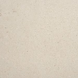 May include: A close-up view of a light beige, speckled surface. The texture appears to be rough and granular, with small, darker flecks scattered throughout. The overall tone is neutral and muted.