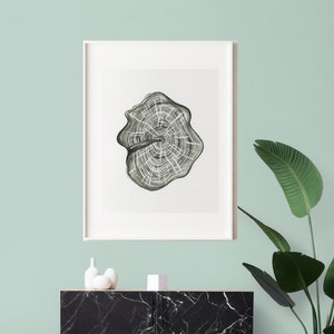 Etsy store tree ring