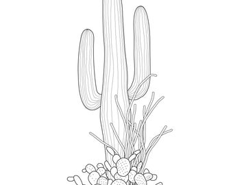 Cactus Garden digital print