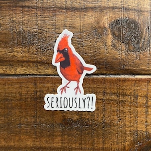 Adhesivo de vinilo premium Seriously Cardinal, pájaro cantor, pájaro salvaje, pájaro rojo, arte animal, resistente a los arañazos, apto para lavavajillas, impermeable, calcomanías