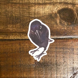 Less Serious Crow Vinyl Sticker, Crow Art, Raven Art, Animal Art, Scratch Resistant, Dishwasher Safe, UV Resistant, Waterproof, Decals