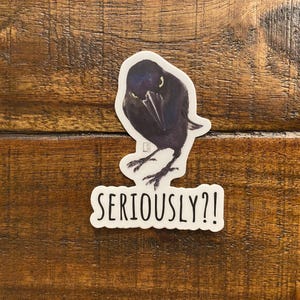 Adesivo in vinile di qualità Seriously Crow, arte del corvo, arte del corvo, arte degli animali, resistente ai graffi, lavabile in lavastoviglie, resistente ai raggi UV, impermeabile, decalcomanie