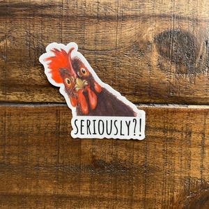 Un altro adesivo in vinile di qualità Premium Seriously Chicken, arte di pollo, arte di animali, resistente ai graffi, lavabile in lavastoviglie, resistente ai raggi UV, impermeabile