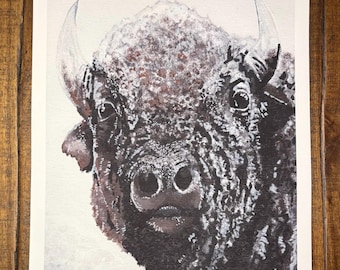 Signed Buffalo and Snow Print: Limited Edition 9x12 Giclee Print
