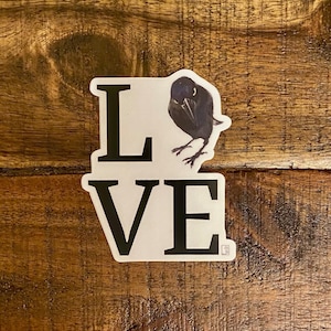 Autocollant Serious Crow Love Premium, Art Crow, Art Corbeau, Art animal, Résistant aux rayures, Lave-vaisselle, Résistant aux UV, Imperméable à l’eau, Décalcomanies