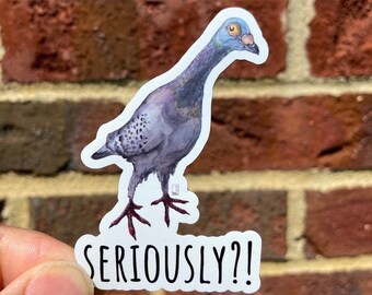 Seriously Pigeon Magnet: Bird Art Magnet