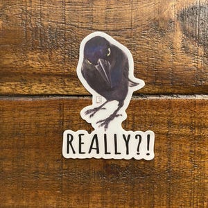 Pegatina de vinilo premium de "Really Crow", arte de cuervo, arte animal, resistente a arañazos, apto para lavavajillas, resistente a los rayos UV, impermeable, calcomanías