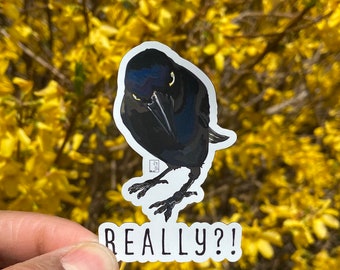 Really Crow Premium Magnet, Crow Art, Raven Art, Animal Art, car magnet, refrigerator magnet, magnets