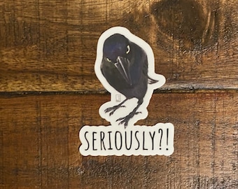 Seriously Crow Premium Vinyl Sticker, Crow Art, Raven Art, Animal Art, Scratch Resistant, Dishwasher Safe, UV Resistant, Waterproof, Decals