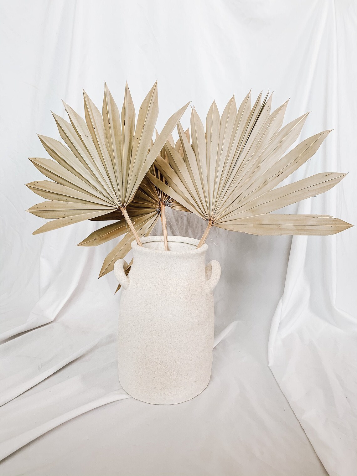 Dried Sun Palm Leaves 5 Stems by Pampas Muse Natural and Etsy