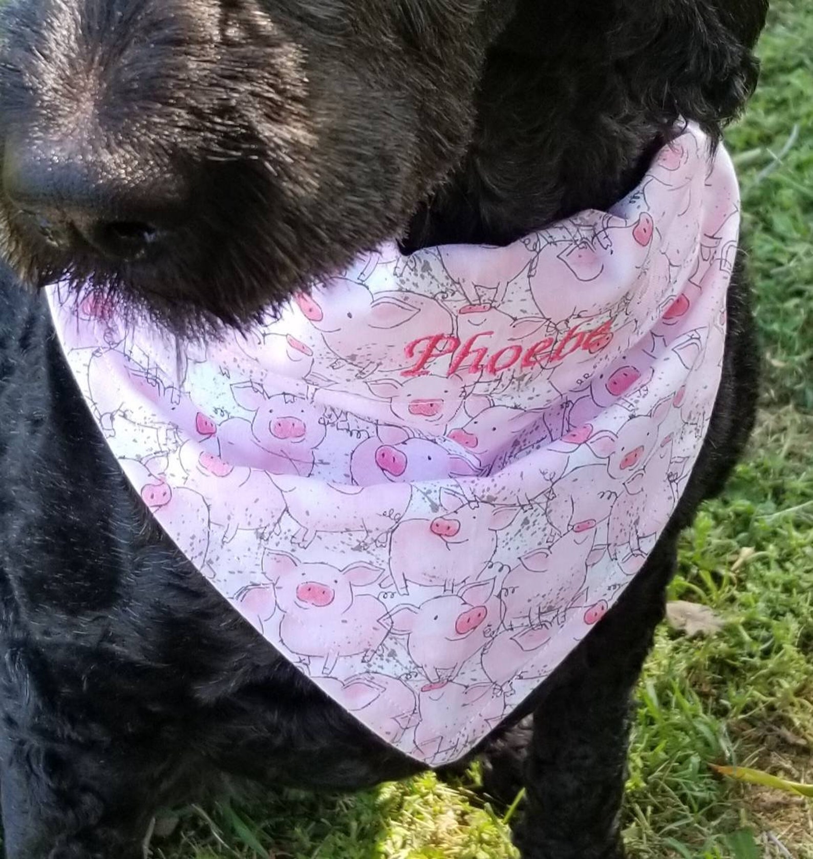 Personalized Dog Collar Embroidered Bandanna Collar Dog Etsy