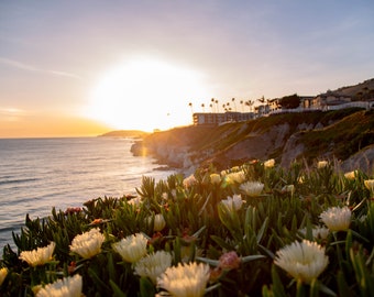 California Beach Sunset