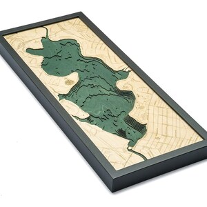 May include: A wooden map of a lake with a black frame. The lake is carved in relief and painted green. The surrounding area is carved in relief and painted brown.