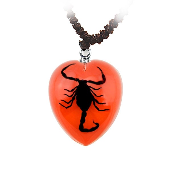 Black Scorpion Red Heart Necklace, Real Scorpion Insect, Clear Resin Art, Insect Taxidermy, Scorpio, Scorpion Jewelry, Adjustable Necklace