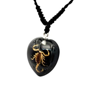 Scorpion Necklace 0.9x0.6x0.4 in image 3
