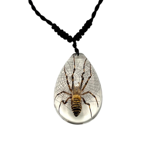 Spider Necklace  1.8x1.4x0.6 in