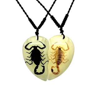 Glow in the Dark Scorpion Necklace, Split Heart Pendant, Matching Couple Necklace, Real Scorpion Resin Jewelry