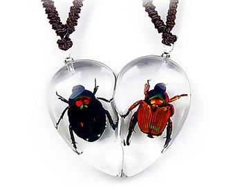 Lucky Chafer Beetle&Shining Chafer Beetle Valentine Necklace  1x0.6x0.3 in