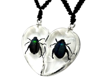 Chafer Beetle Valentine Heart Necklace