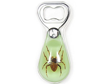 Glows in the Dark Spider Bottle Opener  1.7x3.8x0.8 in