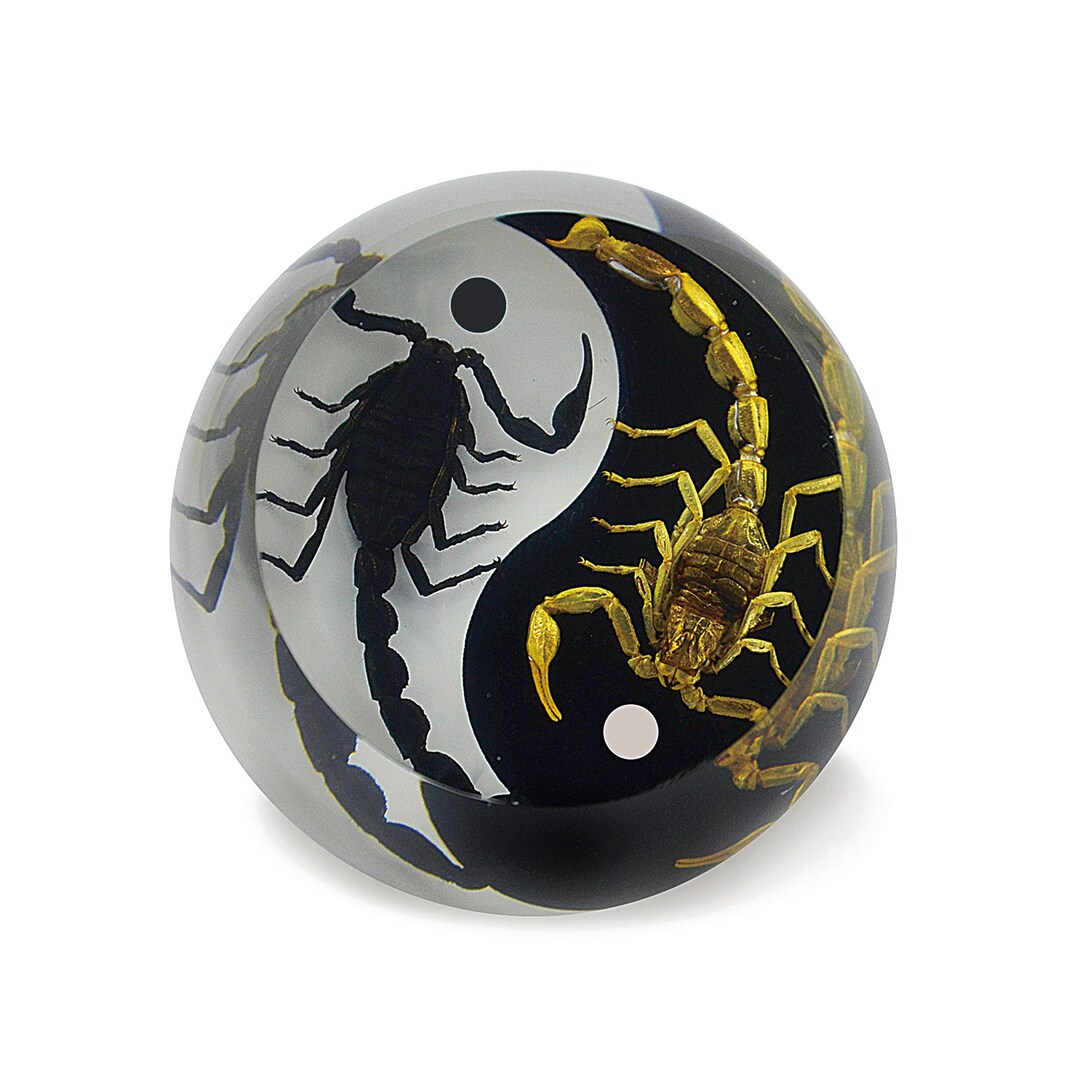 Scorpion Yin Yang Paperweight 2.4x2.4x2.2 In - Etsy