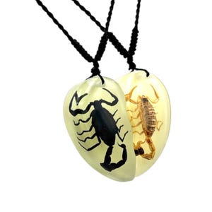 Glow in the Dark Scorpion Necklace, Split Heart Pendant, Matching Couple Necklace, Real Scorpion Resin Jewelry