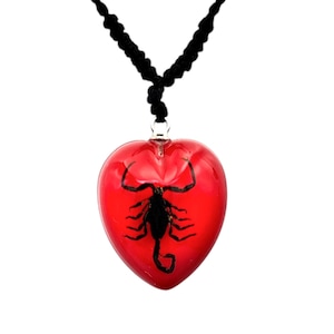 Real Scorpion Resin Necklace, Red Heart, Insect Jewelry image 1