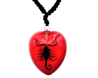 Real Scorpion Resin Necklace, Red Heart, Insect Jewelry
