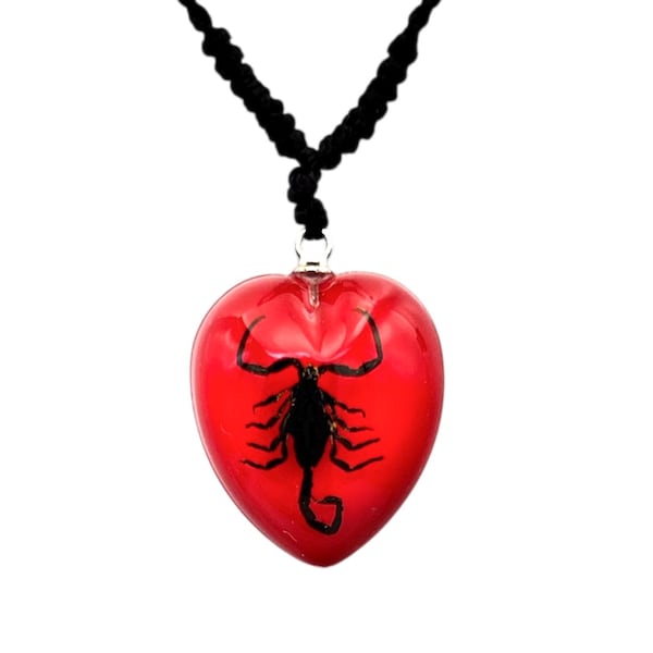 Real Scorpion Resin Necklace, Red Heart, Insect Jewelry