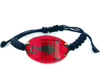 Black Scorpion Bracelet 1.3x0.9x0.5 in