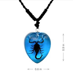 Black Scorpion Necklace 0.9x0.6x0.4 in immagine 1