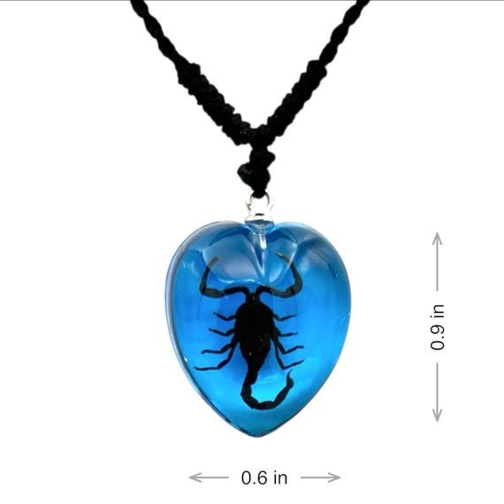 Black Scorpion Necklace 0.9x0.6x0.4 in
