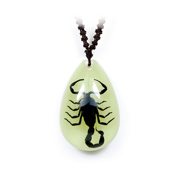 Glows in the Dark Black Scorpion Necklace 1x0.8x0.4 in