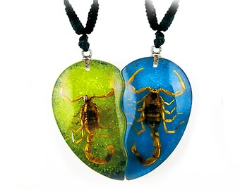 Scorpion Valentine Necklace In