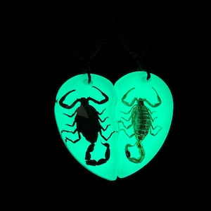 Glow in the Dark Scorpion Necklace, Split Heart Pendant, Matching Couple Necklace, Real Scorpion Resin Jewelry
