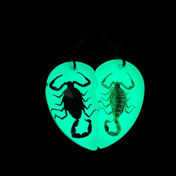 Glow in the Dark Scorpion Necklace, Split Heart Resin Pendant, Couple Jewelry