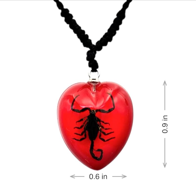 Real Scorpion Resin Necklace, Red Heart, Insect Jewelry image 2