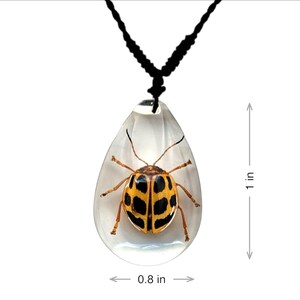 Spotted Leaf Beetle Necklace