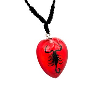 Real Scorpion Resin Necklace, Red Heart, Insect Jewelry image 3
