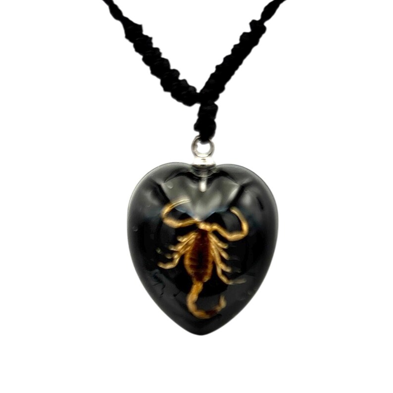 Scorpion Necklace 0.9x0.6x0.4 in image 2