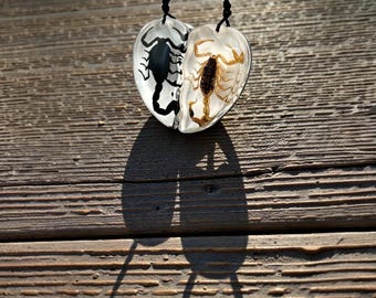 Real Scorpion Resin Split Heart Necklace, Matching Couple Pendant