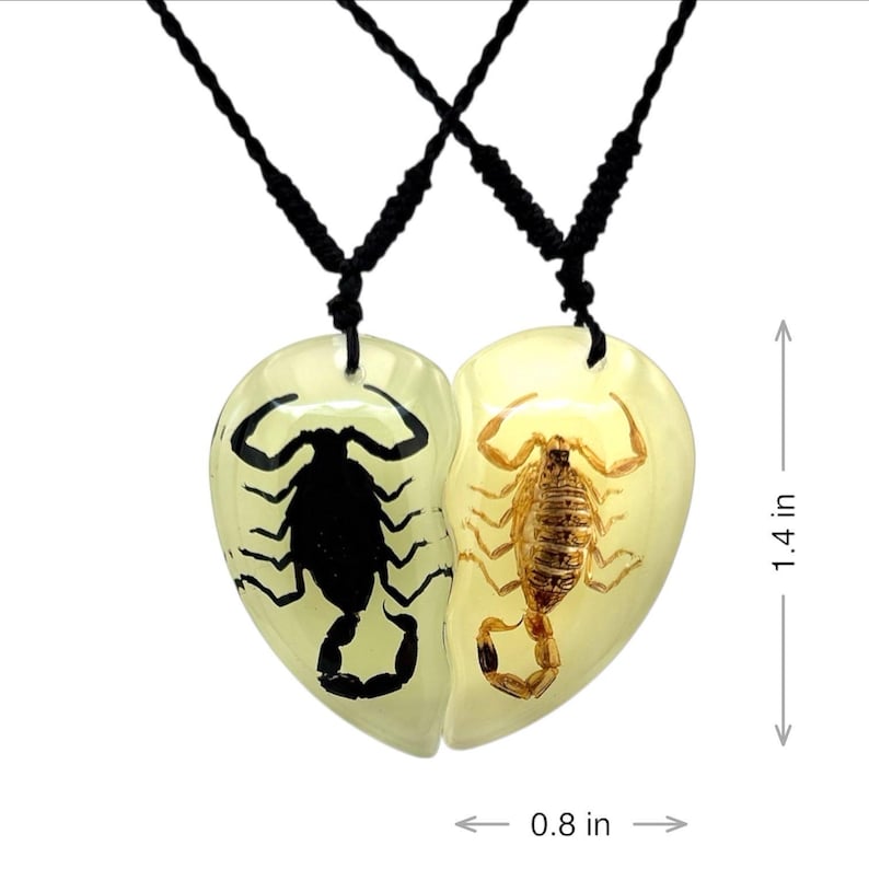 Glow in the Dark Scorpion Necklace, Split Heart Pendant, Matching Couple Necklace, Real Scorpion Resin Jewelry