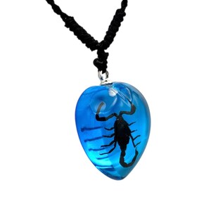 Black Scorpion Necklace 0.9x0.6x0.4 in immagine 3