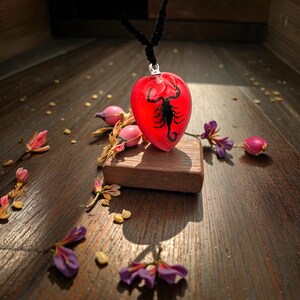 Real Scorpion Resin Necklace, Red Heart, Insect Jewelry image 5