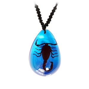 Black Scorpion Necklace  1x0.8x0.4 in