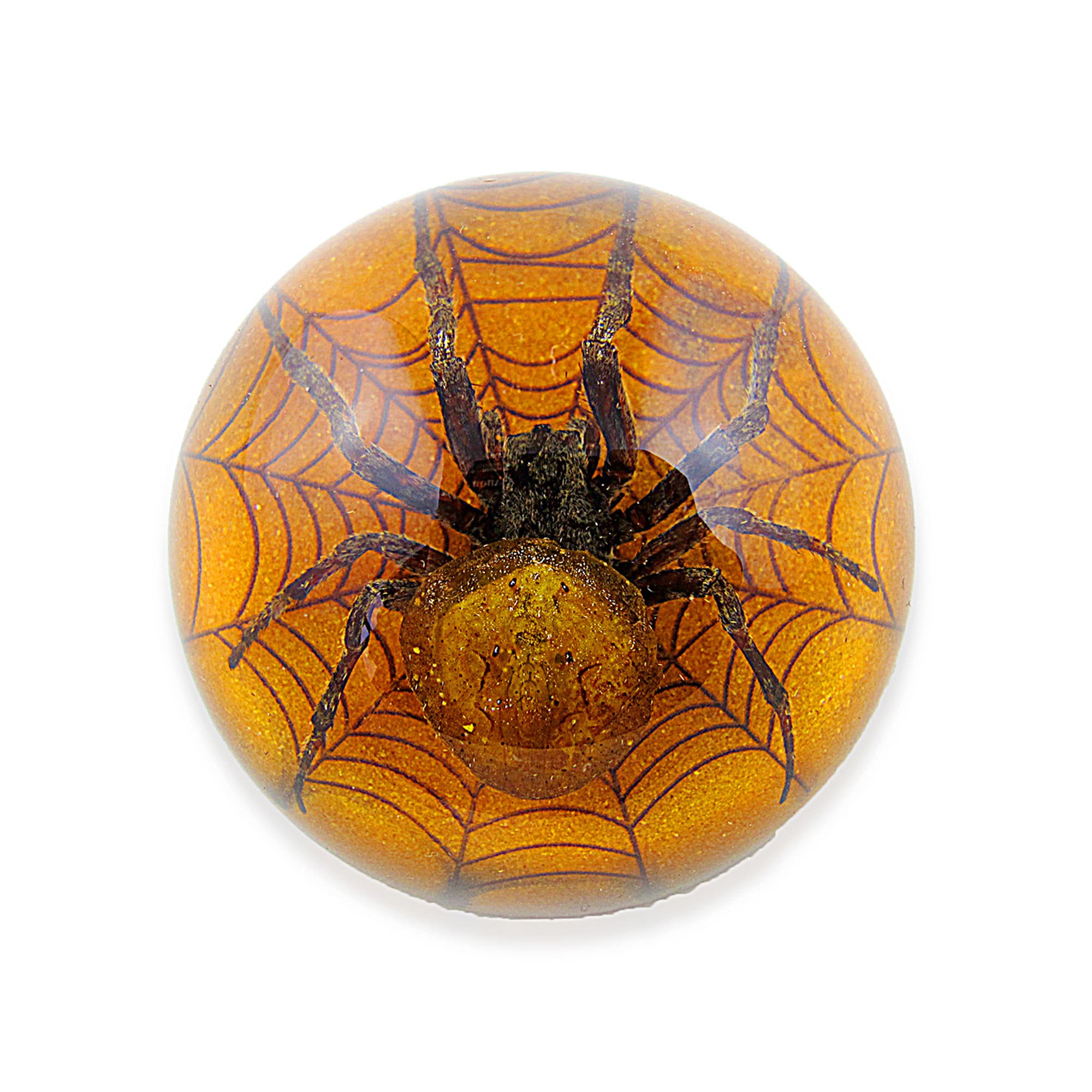 Spider Half Dome Paperweight ɸ2.5x1.3 in Etsy