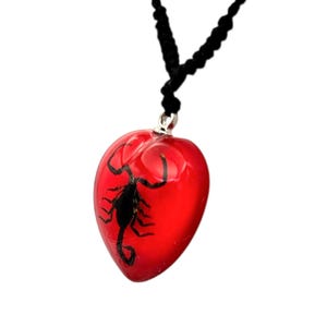 Real Scorpion Resin Necklace, Red Heart, Insect Jewelry image 4