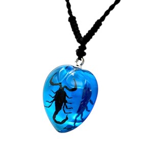 Black Scorpion Necklace 0.9x0.6x0.4 in immagine 4